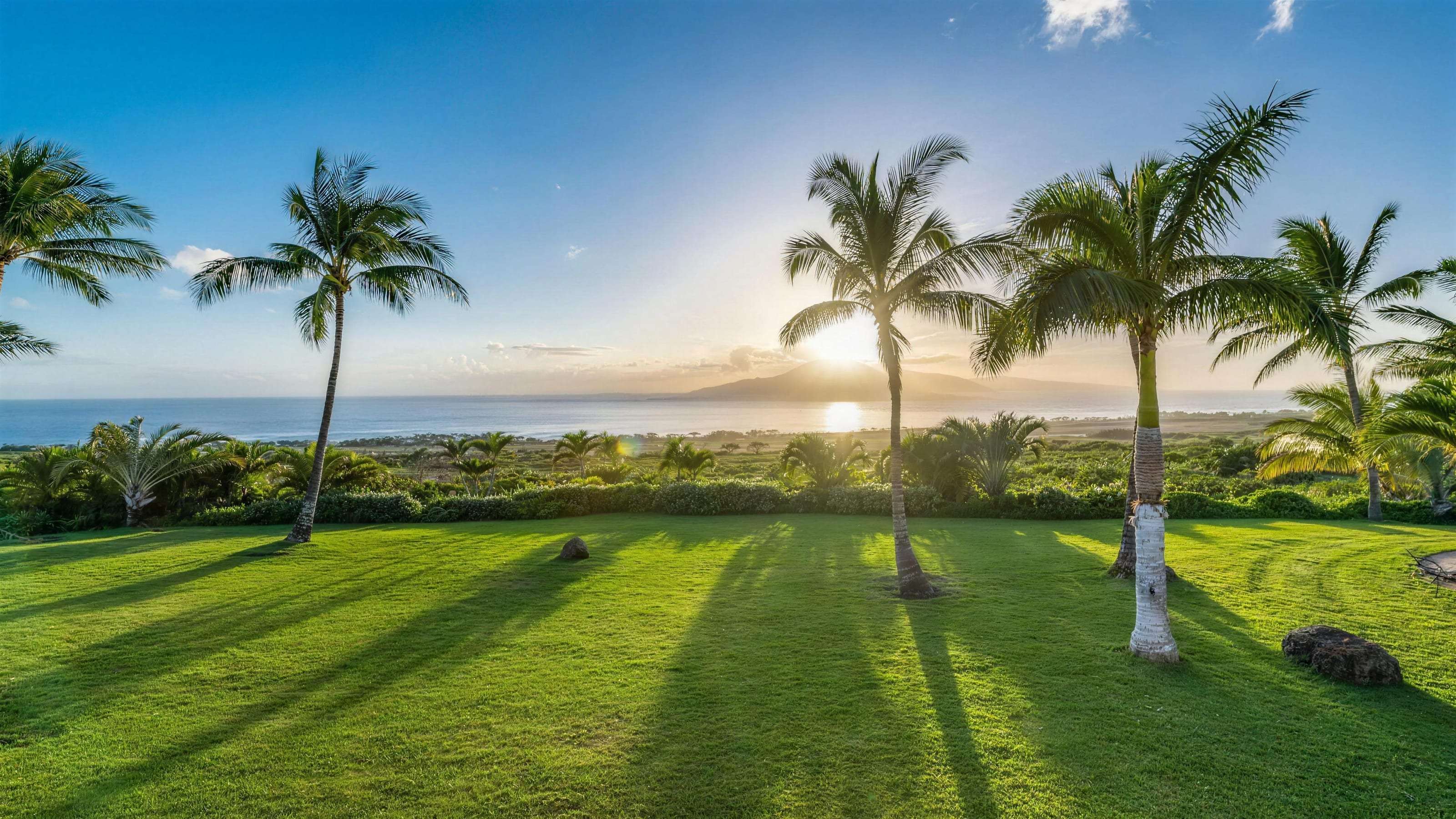 Maui Recovery, Twenty private acres in Lahaina, a mile from the Pacific.